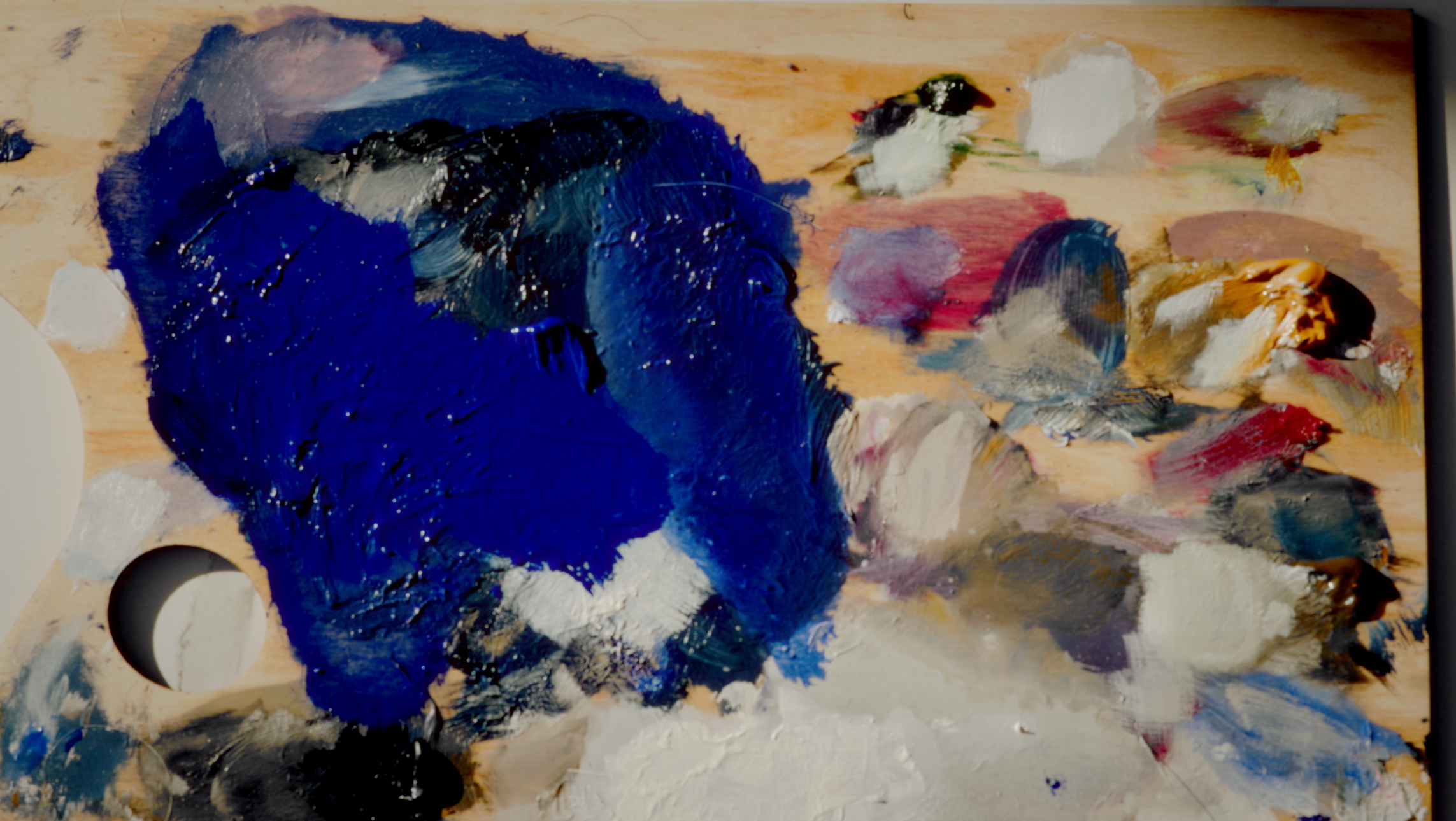 Між морем і простором: фільми Sea&Sky | Part 4: Story of the Shells – Artist Residency
